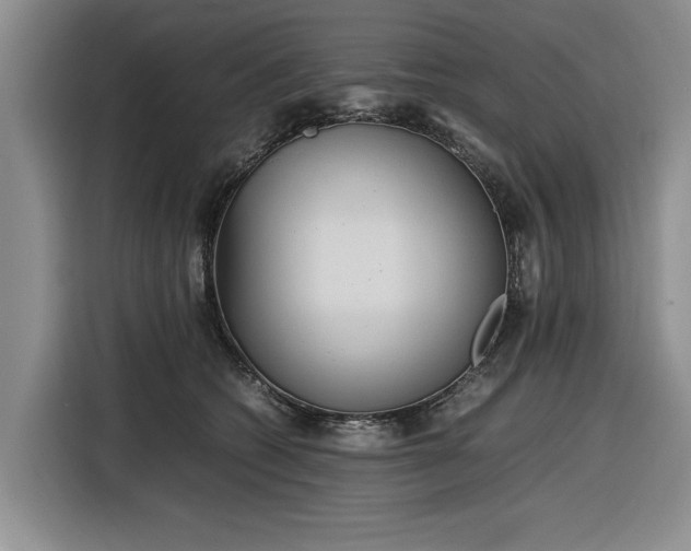 X0000116580562200912171526