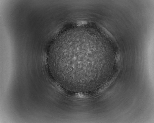 X0000116580565200912171526