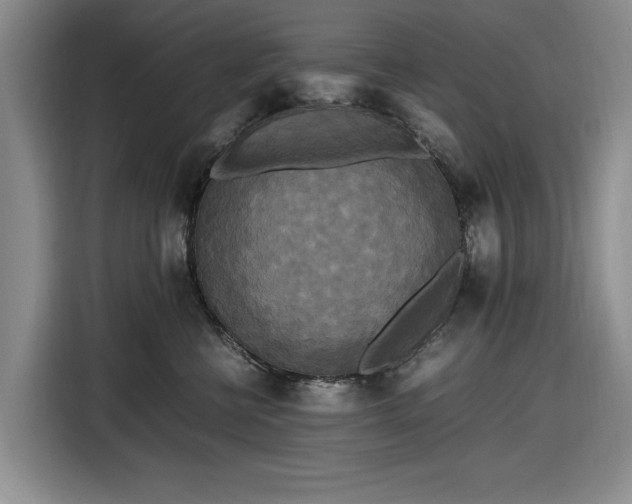 X0000116580570200912171526