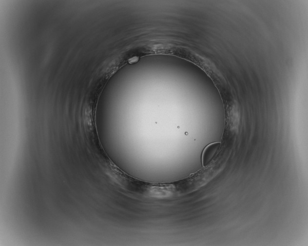 X0000116580571200912171526