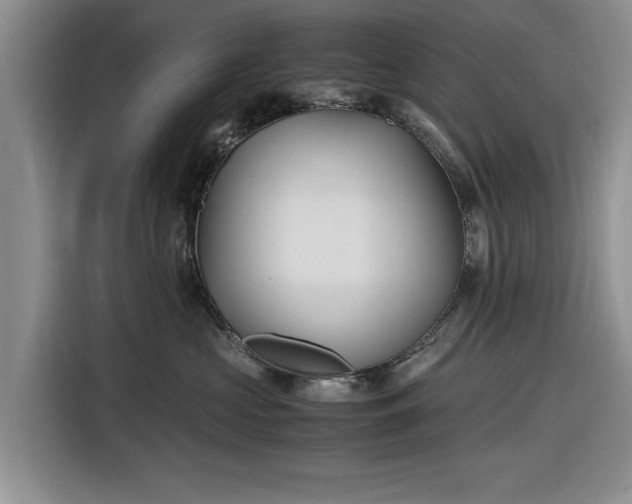 X0000116580573200912171526