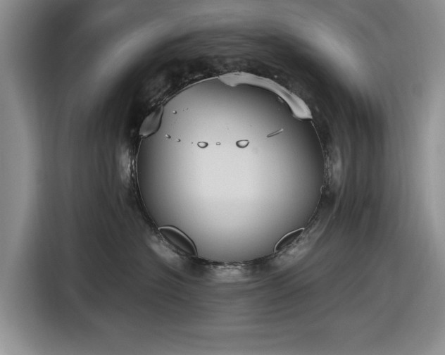 X0000116580574200912171526