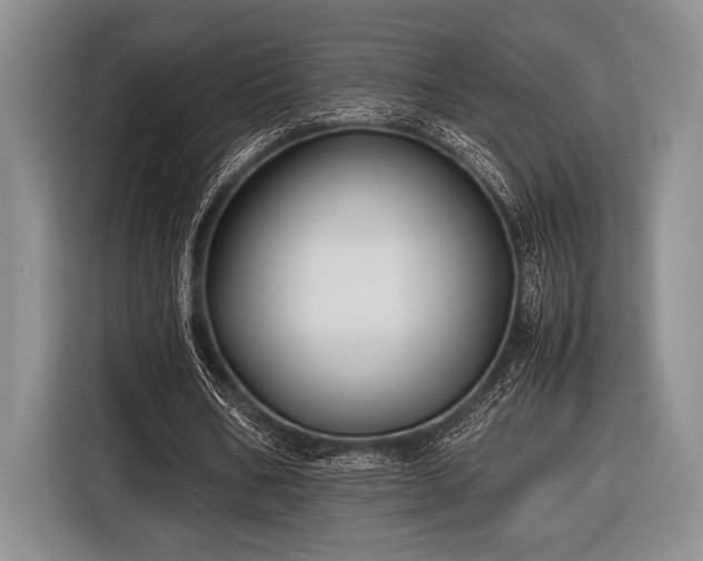 X0000116580578200912171525