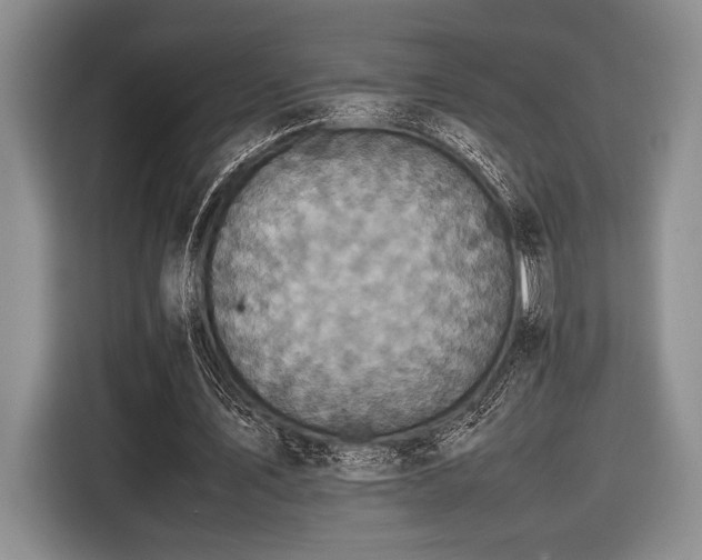 X0000116580579200912171525