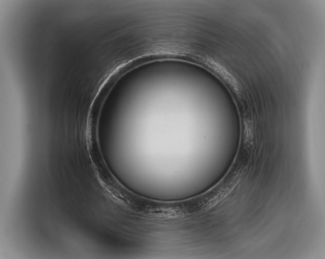 X0000116580580200912171525