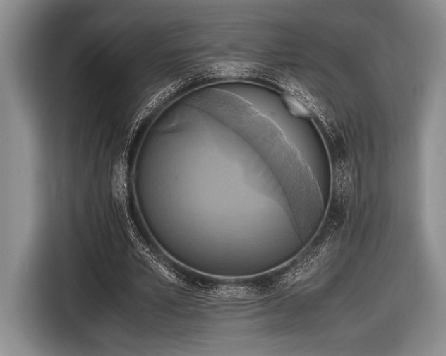 X0000116580581200912171525