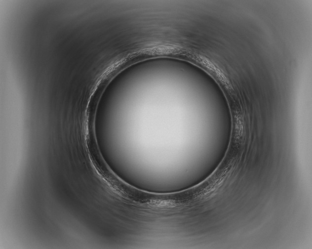 X0000116580582200912171525