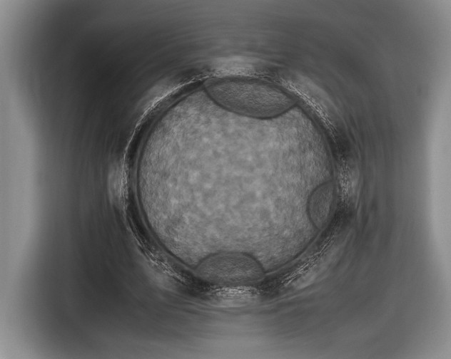 X0000116580583200912171525