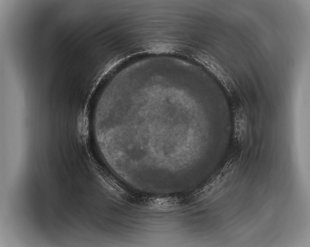 X0000116580584200912171525