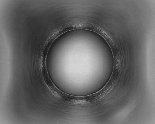 X0000116580586200912171525