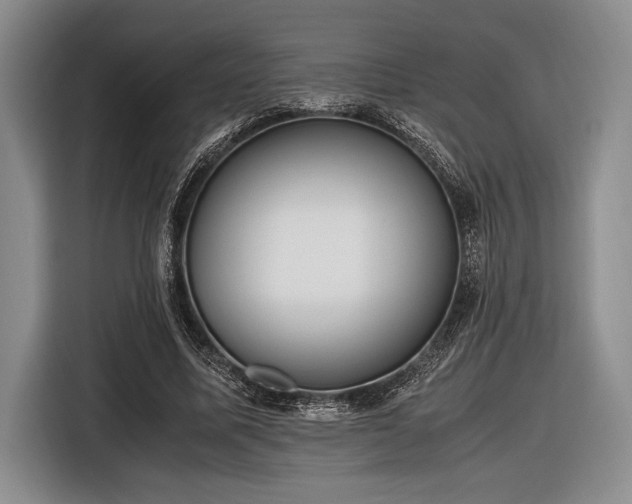 X0000116580587200912171525