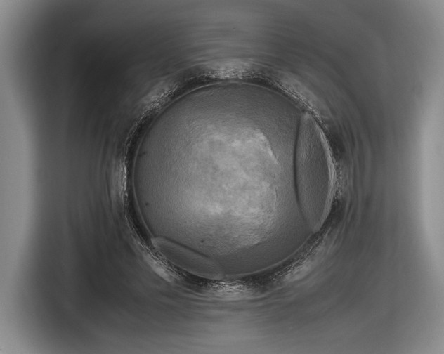 X0000116580589200912171525