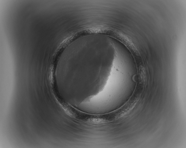 X0000116580590200912171525