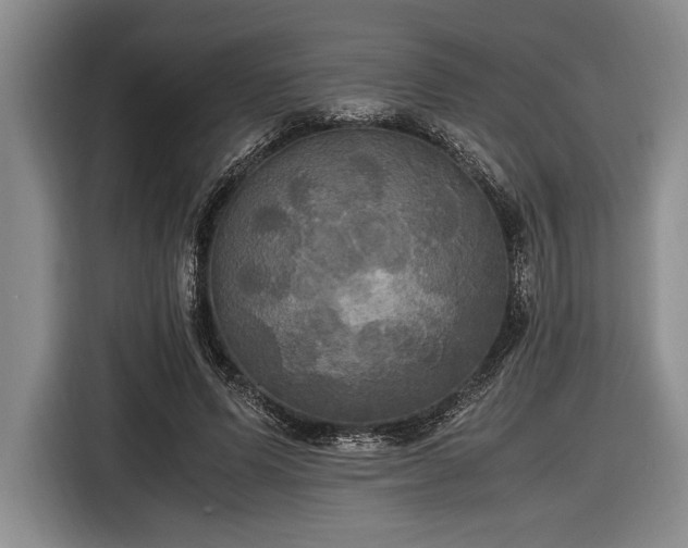 X0000116580591200912171525