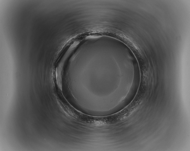 X0000116580592200912171525