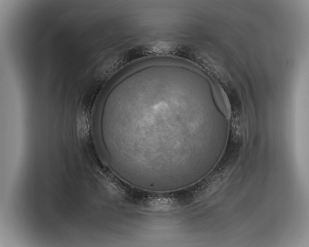 X0000116580593200912171525