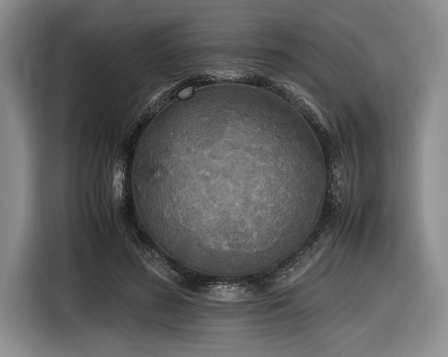 X0000116580596200912171525