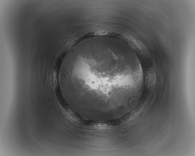 X0000116580598200912171525