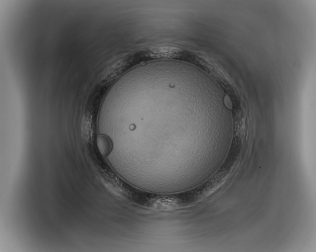 X0000116580599200912171525