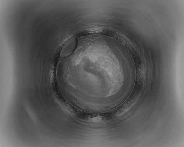 X0000116580600200912171525