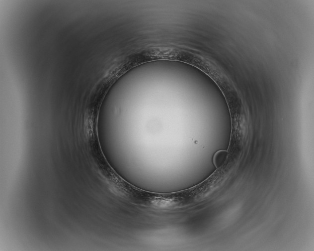 X0000116580602200912171525