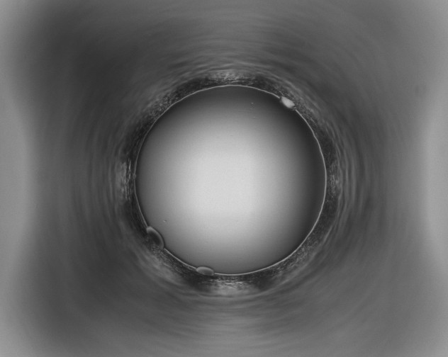 X0000116580605200912171525