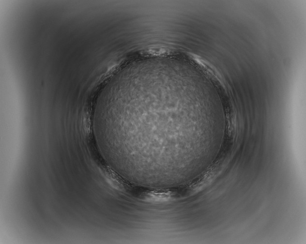 X0000116580606200912171525