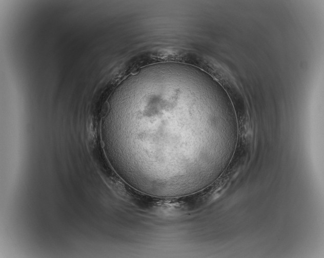 X0000116580607200912171525