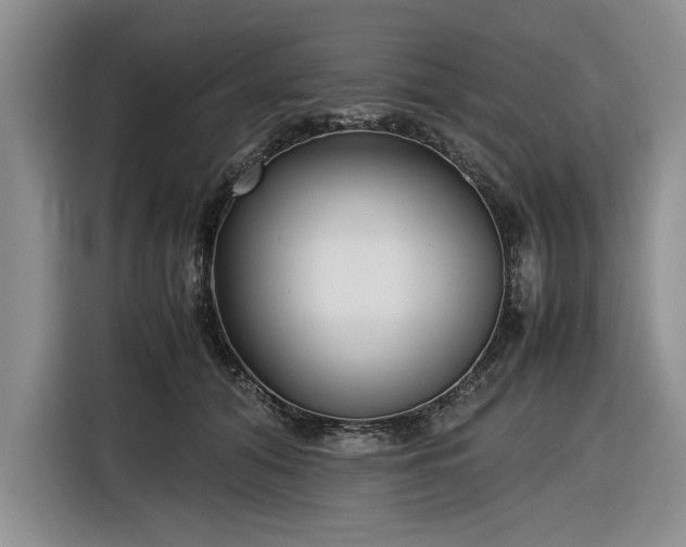 X0000116580608200912171525