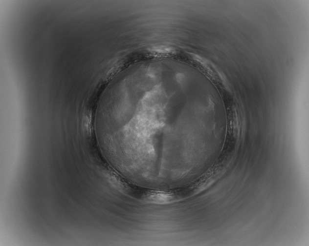 X0000116580610200912171525