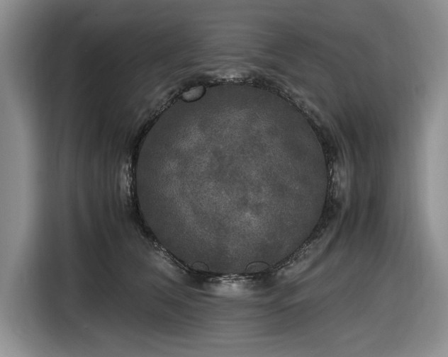 X0000116580612200912171525