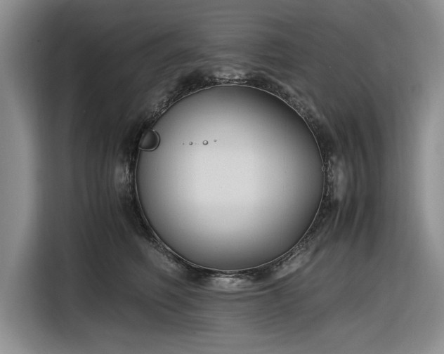 X0000116580614200912171525