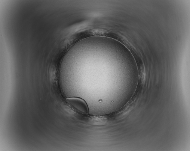 X0000116580619200912171525