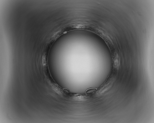 X0000116580620200912171525