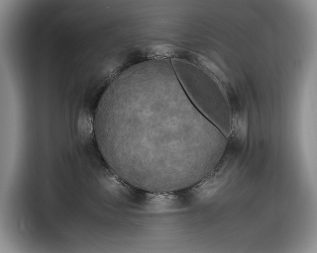 X0000116580621200912171525