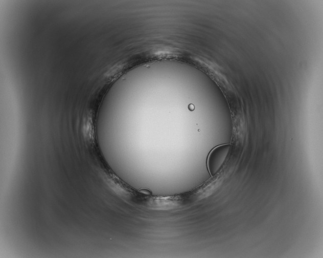 X0000116580622200912171525