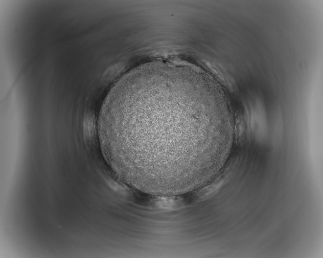 X0000116580623200912171525