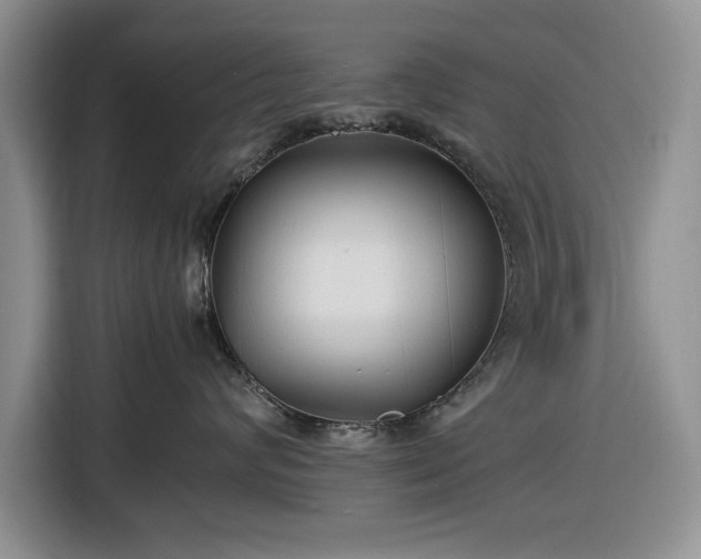 X0000116580624200912171525