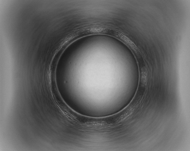 X0000116580626200912171524