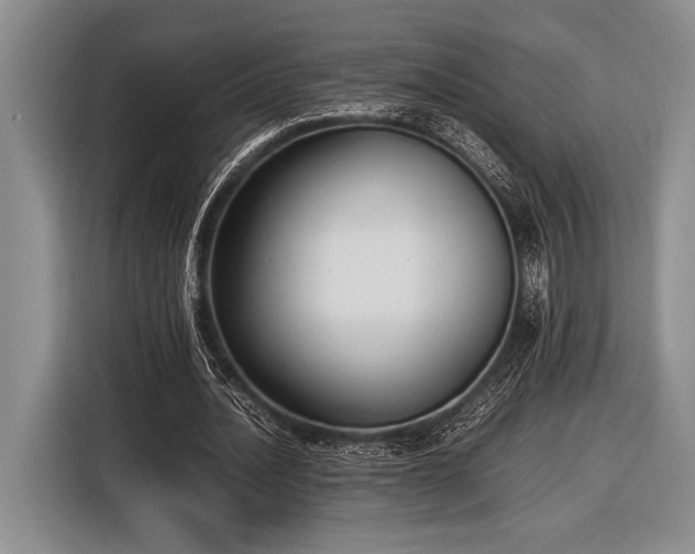 X0000116580628200912171524