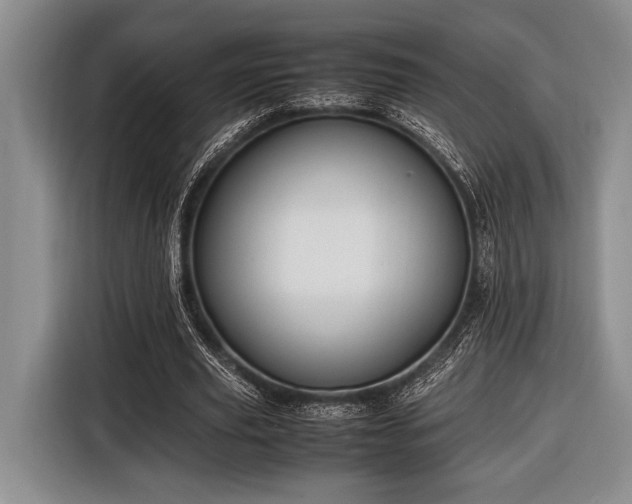 X0000116580629200912171524