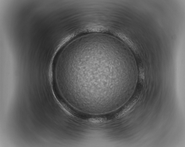 X0000116580630200912171524