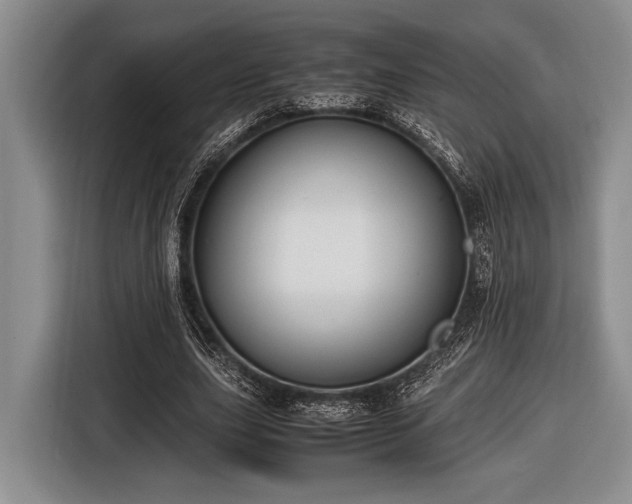 X0000116580631200912171524