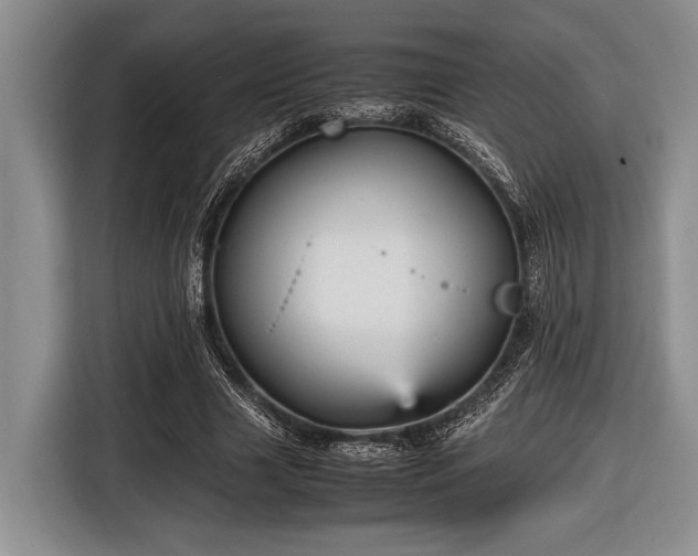 X0000116580633200912171524