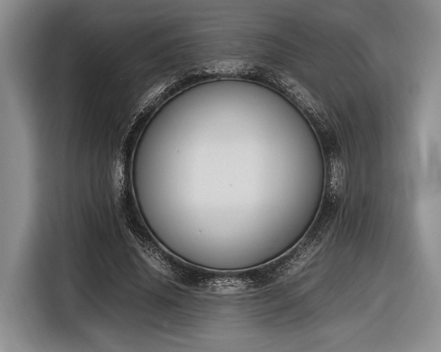 X0000116580636200912171524