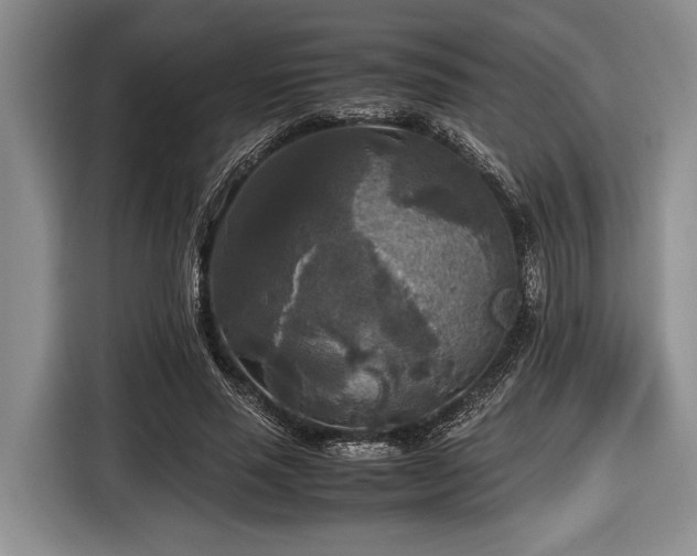 X0000116580637200912171524