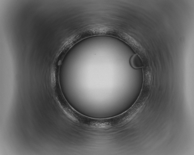 X0000116580638200912171524