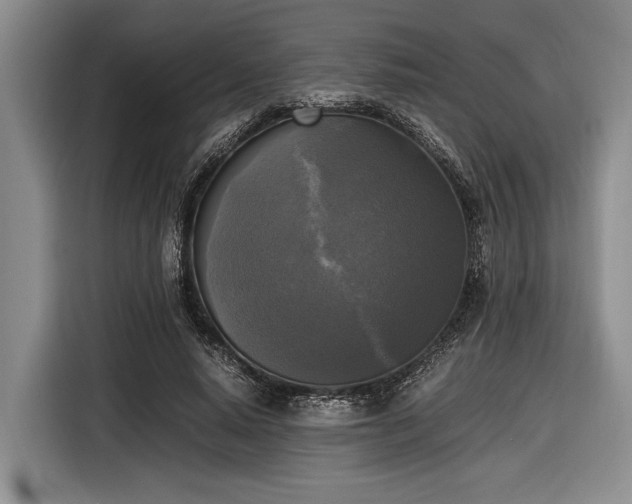 X0000116580640200912171524