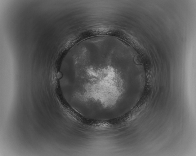 X0000116580642200912171524