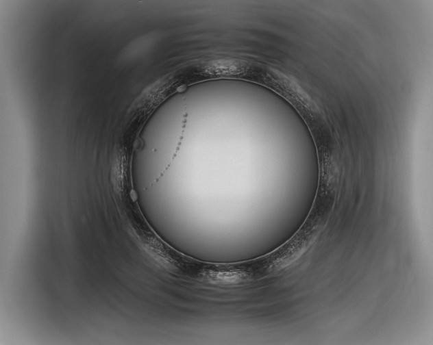 X0000116580645200912171524